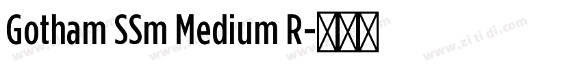Gotham SSm Medium R字体转换